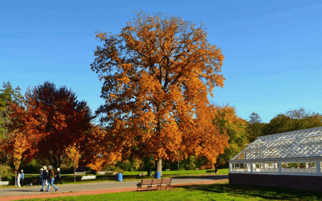 2025 “State of the Park” Annual Meeting