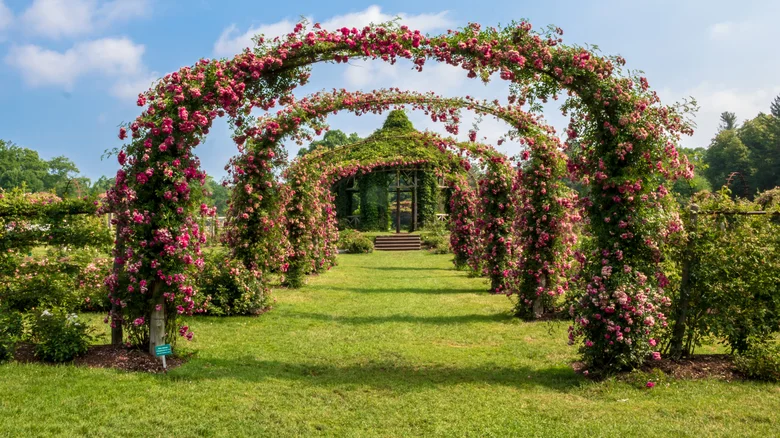 America’s Oldest Public Rose Garden Is A Charming, Historic, Fragrant New England Gem In Connecticut