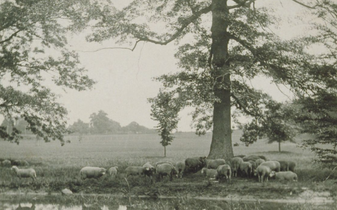 Park History & Grounds Tour
